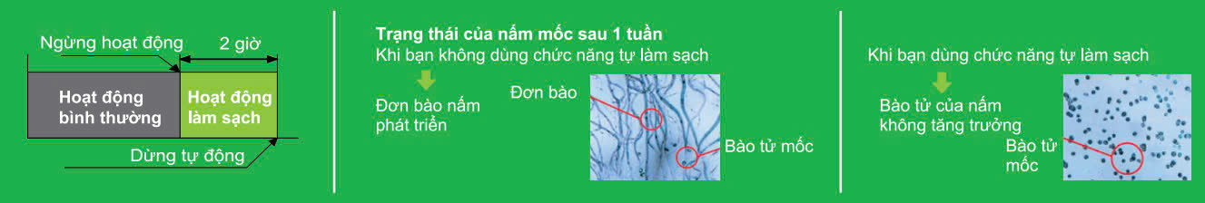 Chế độ tự làm sạch – Giữ dàn lạnh luôn khô thoáng